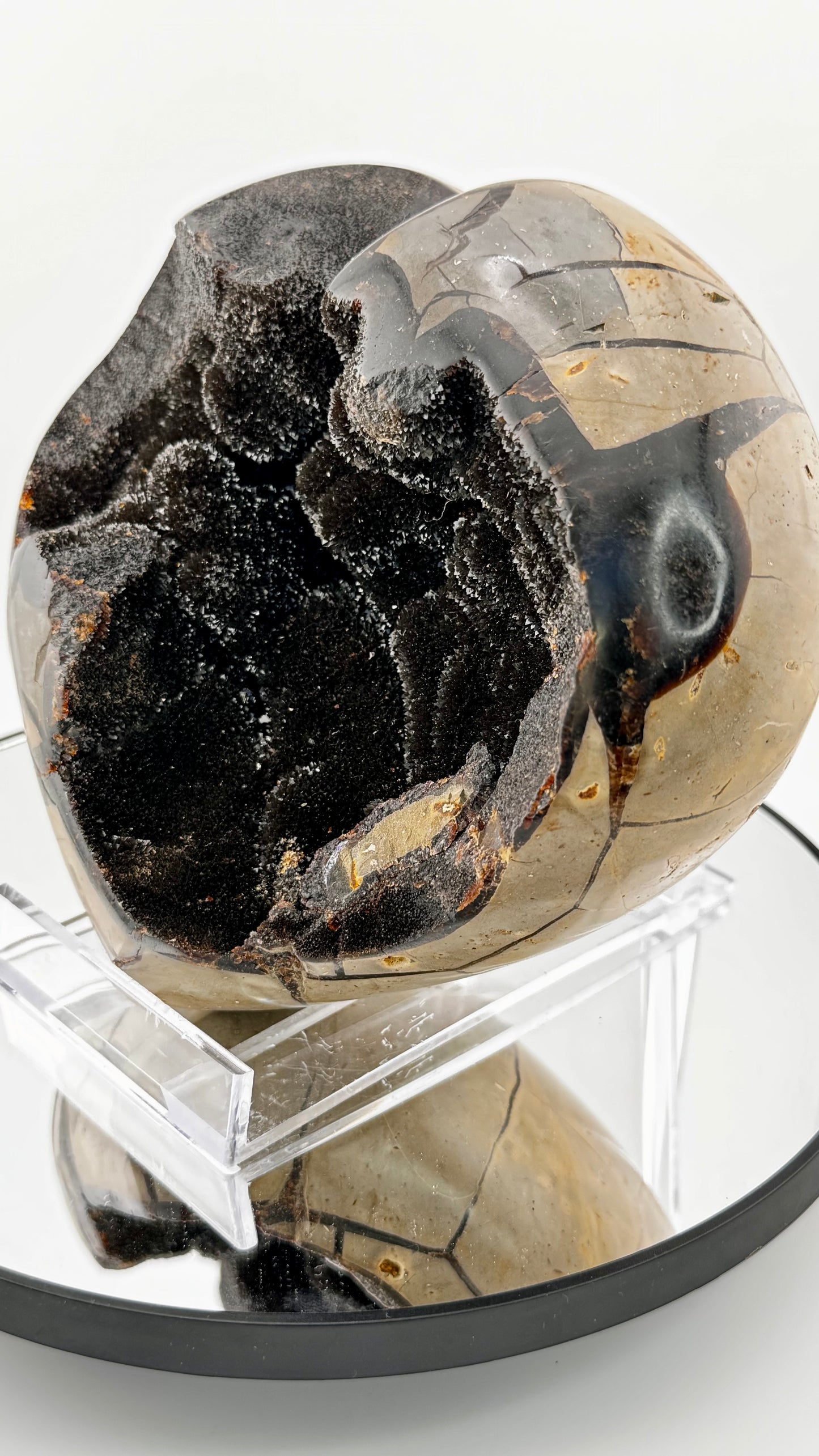 Septarian Herz "Drachenstein" – Madagaskar 17 × 16 cm, 2,7 kg
