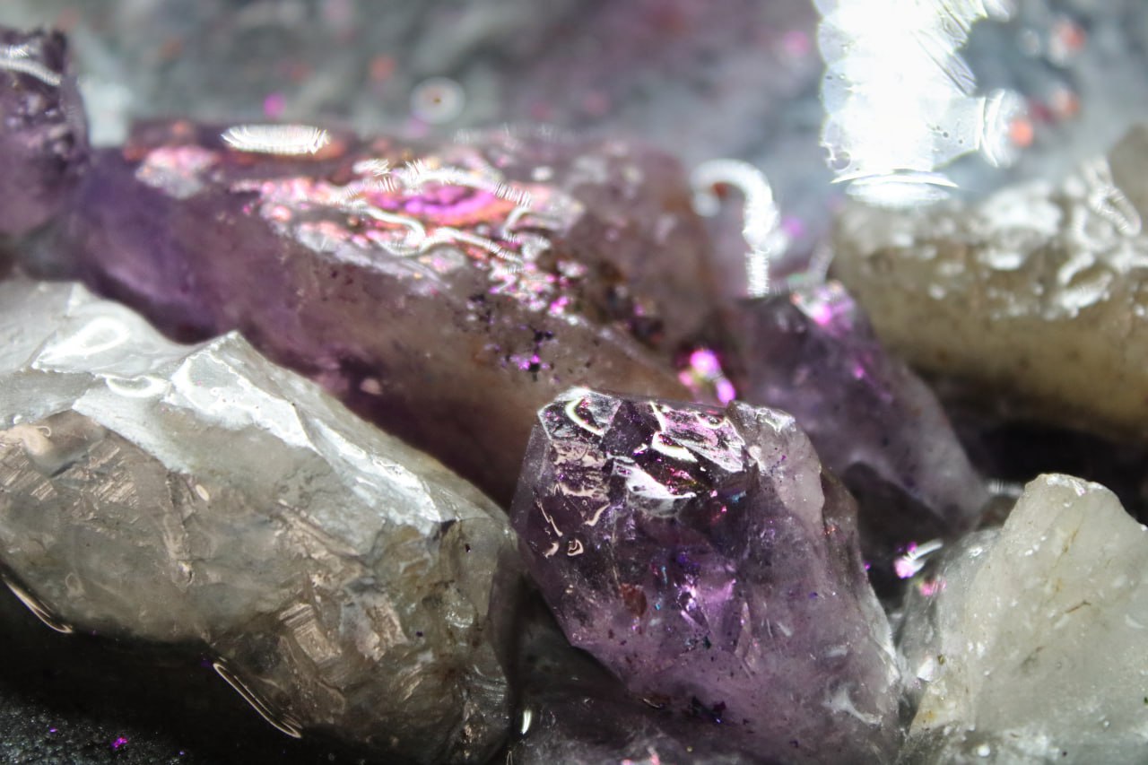 Castor and Pollux, A Tribute to Friendship