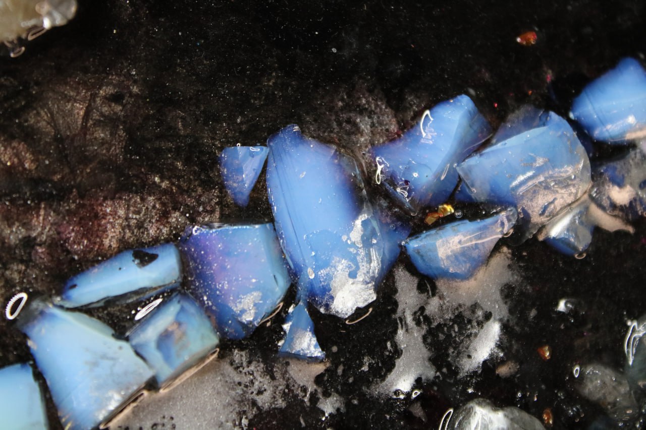 Castor and Pollux, A Tribute to Friendship