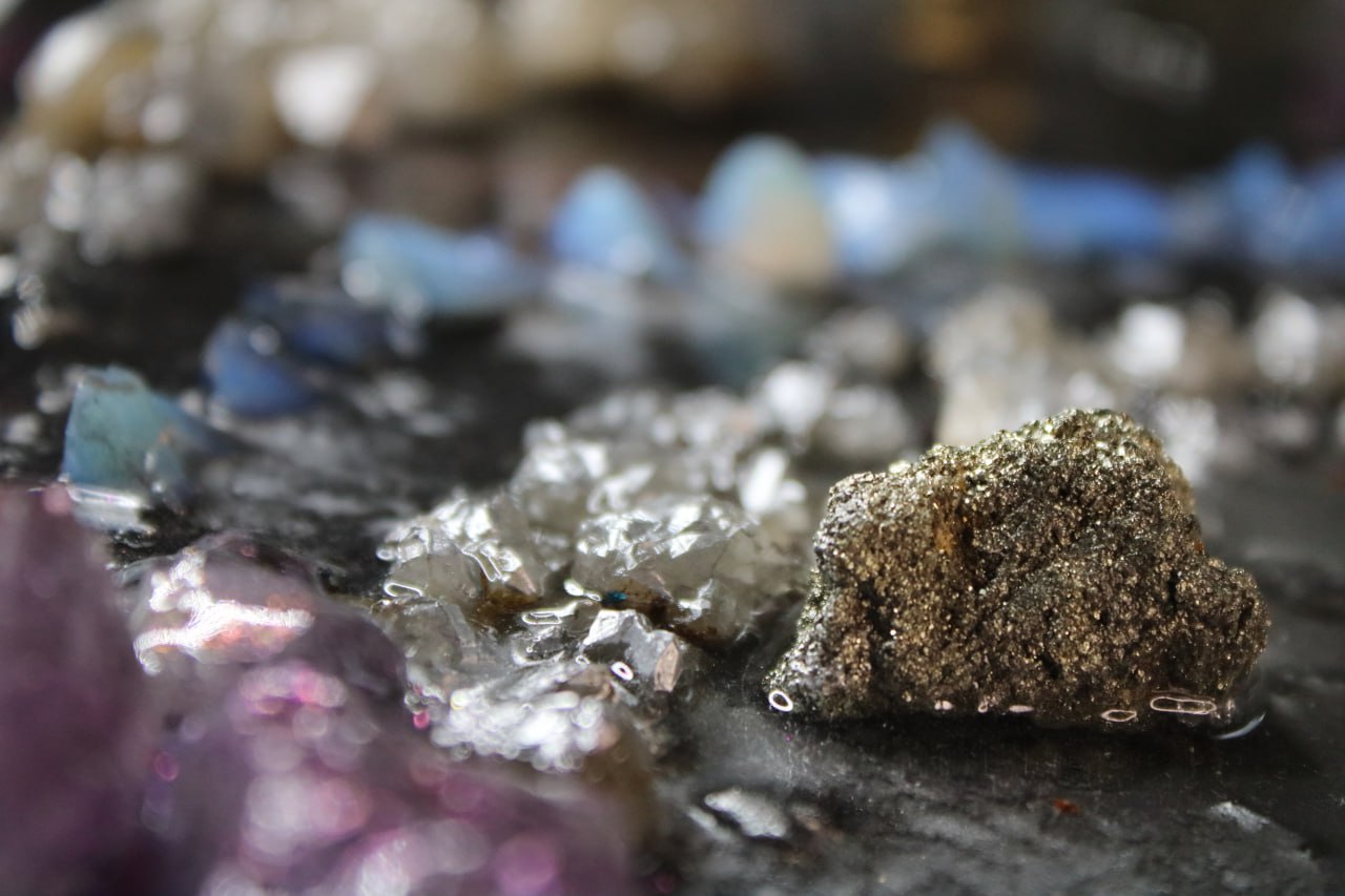 Castor and Pollux, A Tribute to Friendship