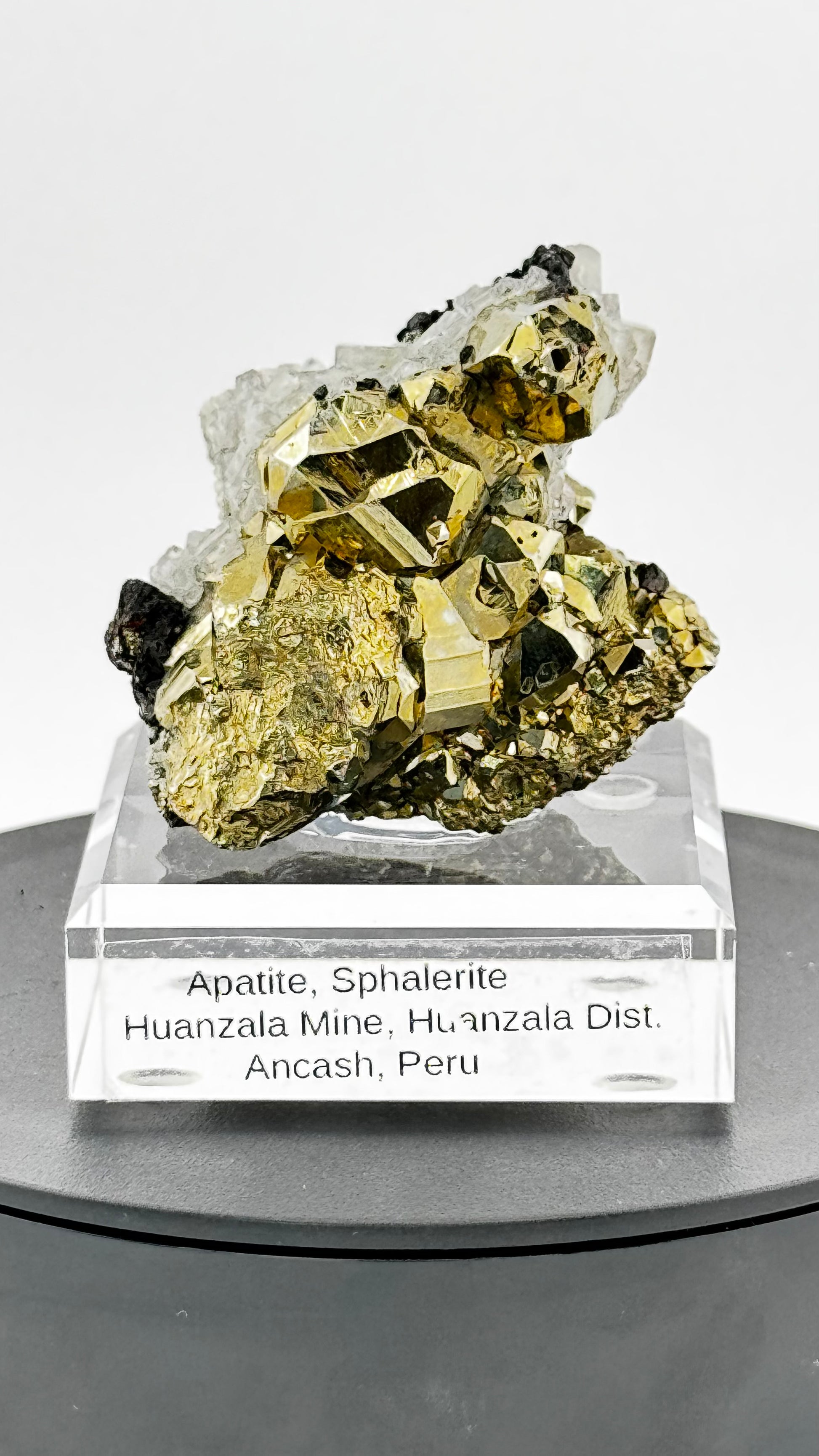 Frontalansicht - Pyrit-Sphalerit-Apatit mit goldenen Würfeln, schwarzen Sphalerit-Kristallen und weißem Apatit, Huanzala Mine, Peru

