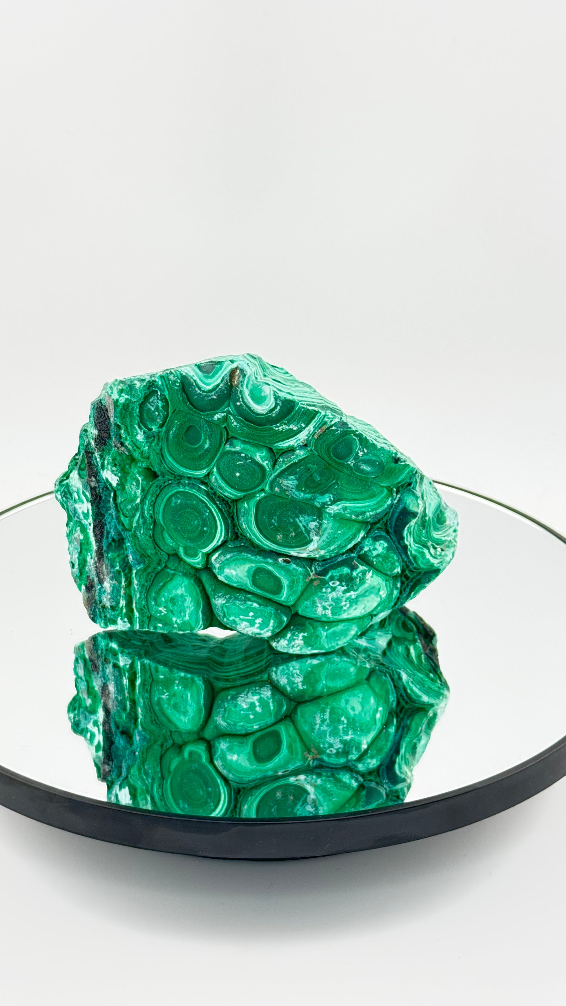 Frontalansicht - Malachit mit konzentrischen Bändern und botryoidaler Struktur, Kongo
