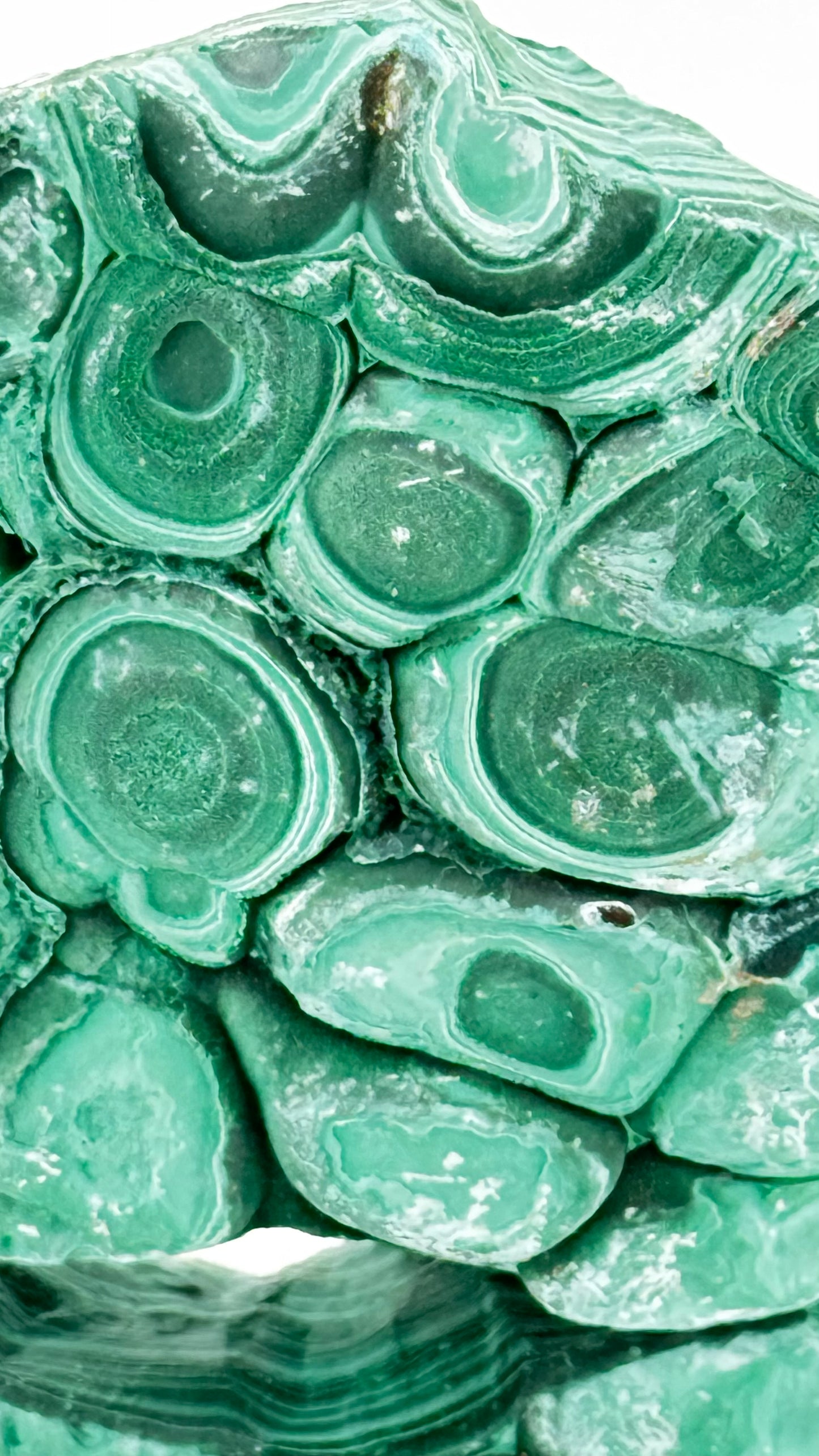 Malachite – Spectacular Banding – Congo, 830g