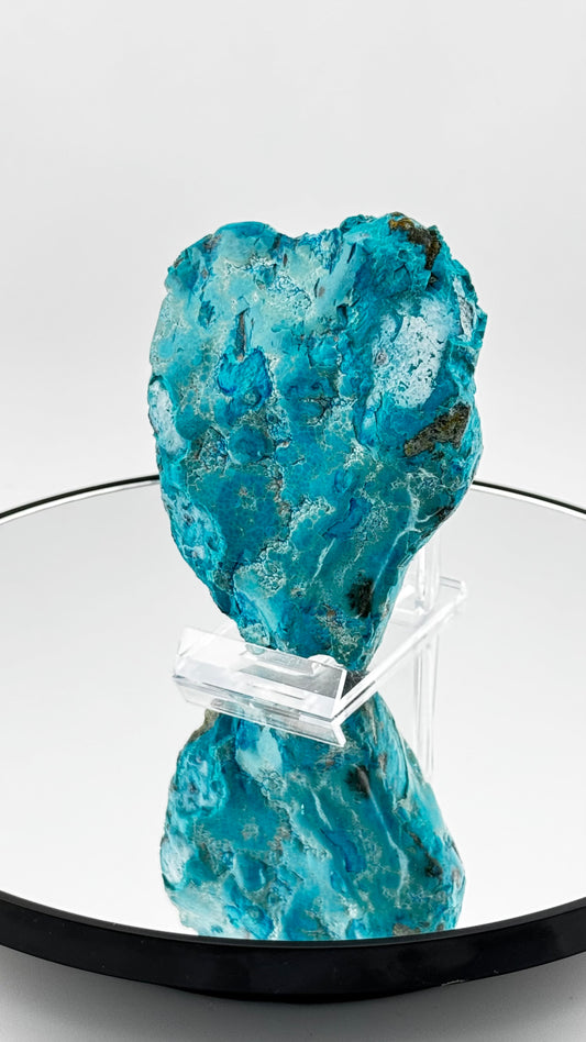 Frontalansicht - Chrysokoll mit intensiver türkisblauer Farbe und Matrix, Kongo
