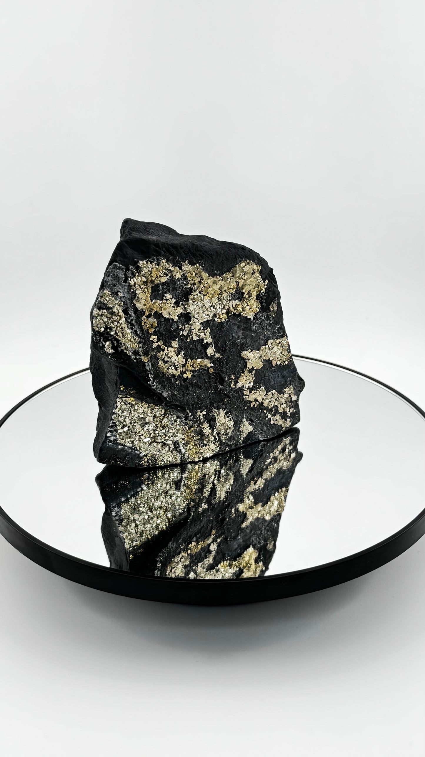 Frontalansicht - Schungit mit goldenen Pyrit-Einschlüssen, Karelien, Russland