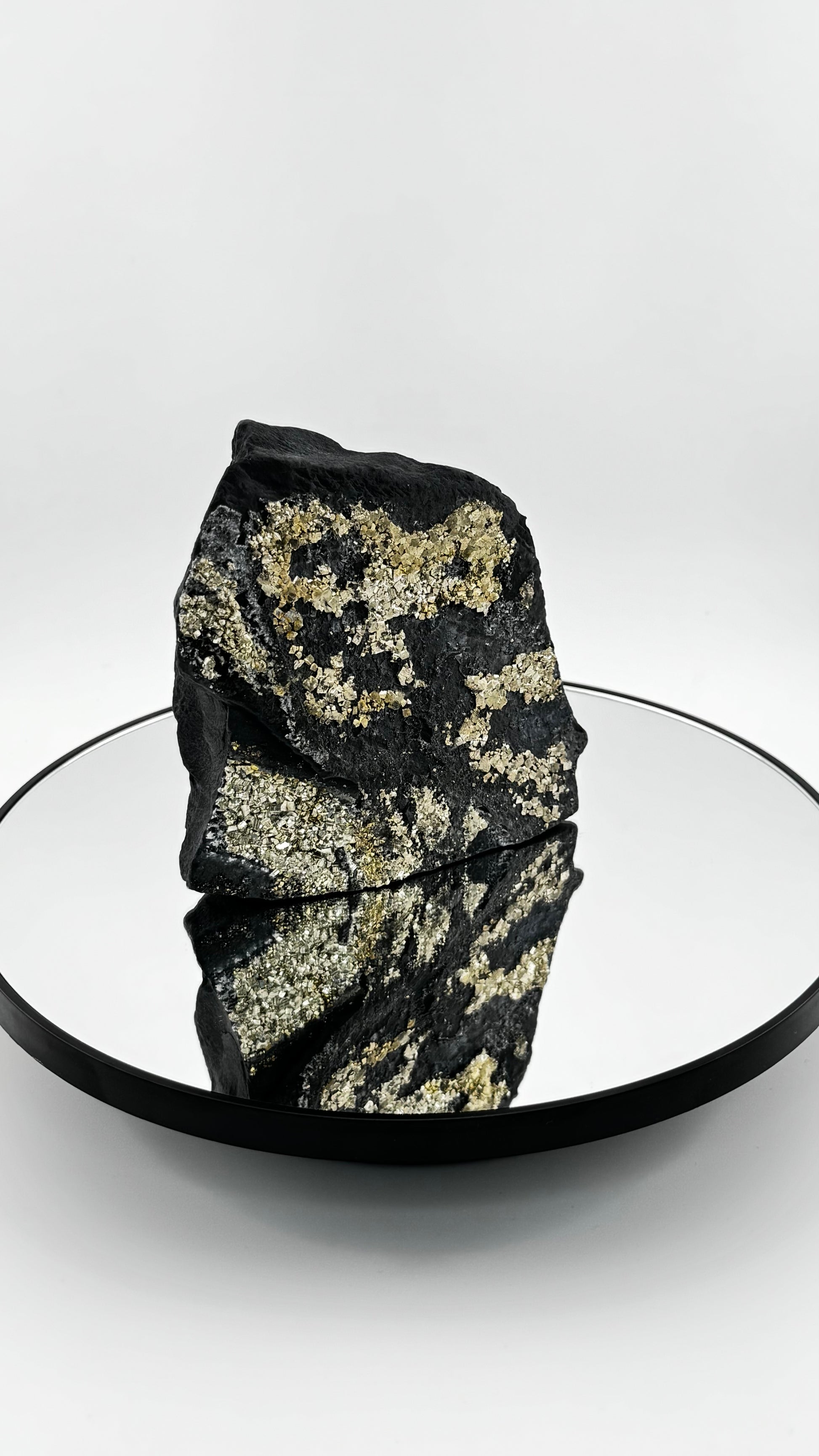 Frontalansicht - Schungit mit goldenen Pyrit-Einschlüssen, Karelien, Russland