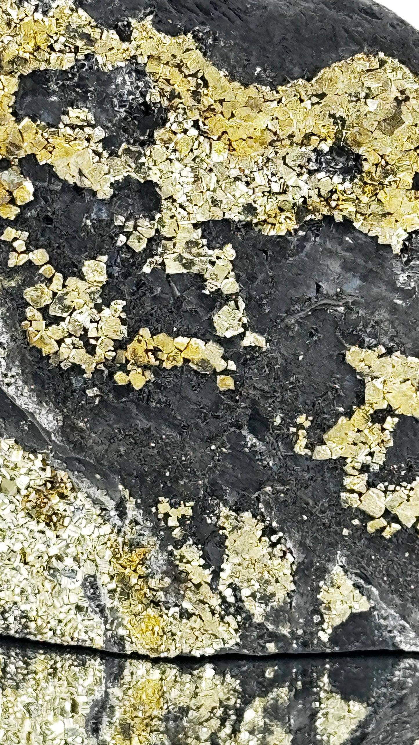 Shungite with Pyrite – Black Carbon &amp; Gold – Shunga, Russia, 570g