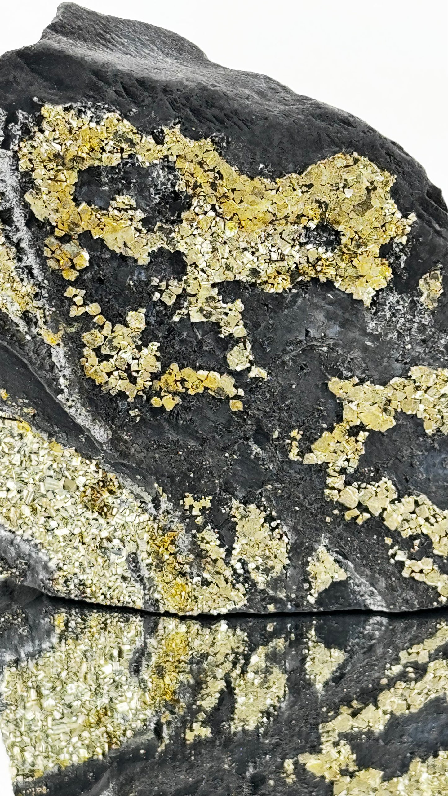 Shungite with Pyrite – Black Carbon &amp; Gold – Shunga, Russia, 570g