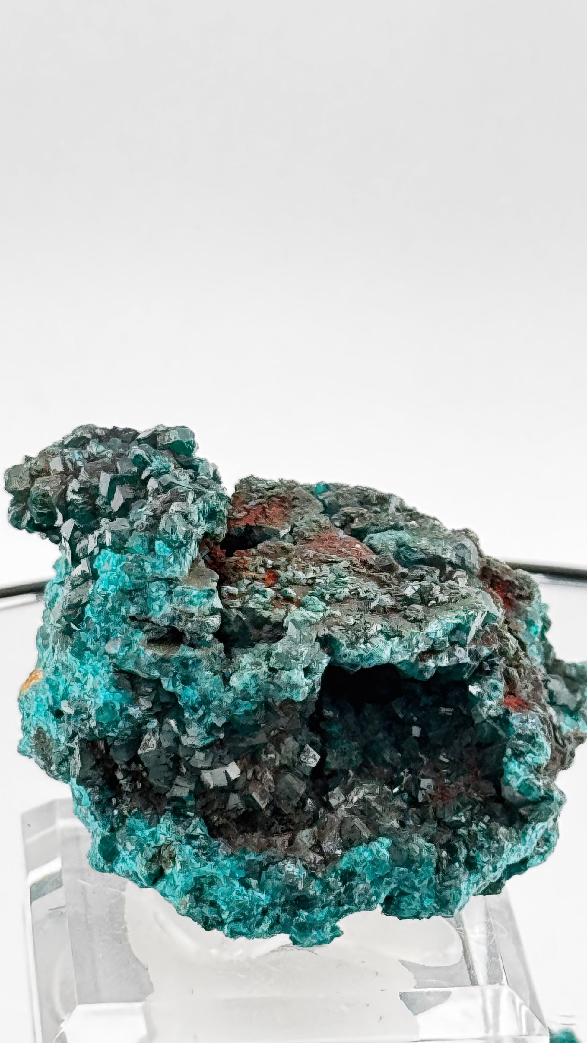 Smaragdgrüne Dioptase-Stufe Tantara Mine Shinkolobwe Kongo mit Hohlraum und Cuprit auf Acrylständer
