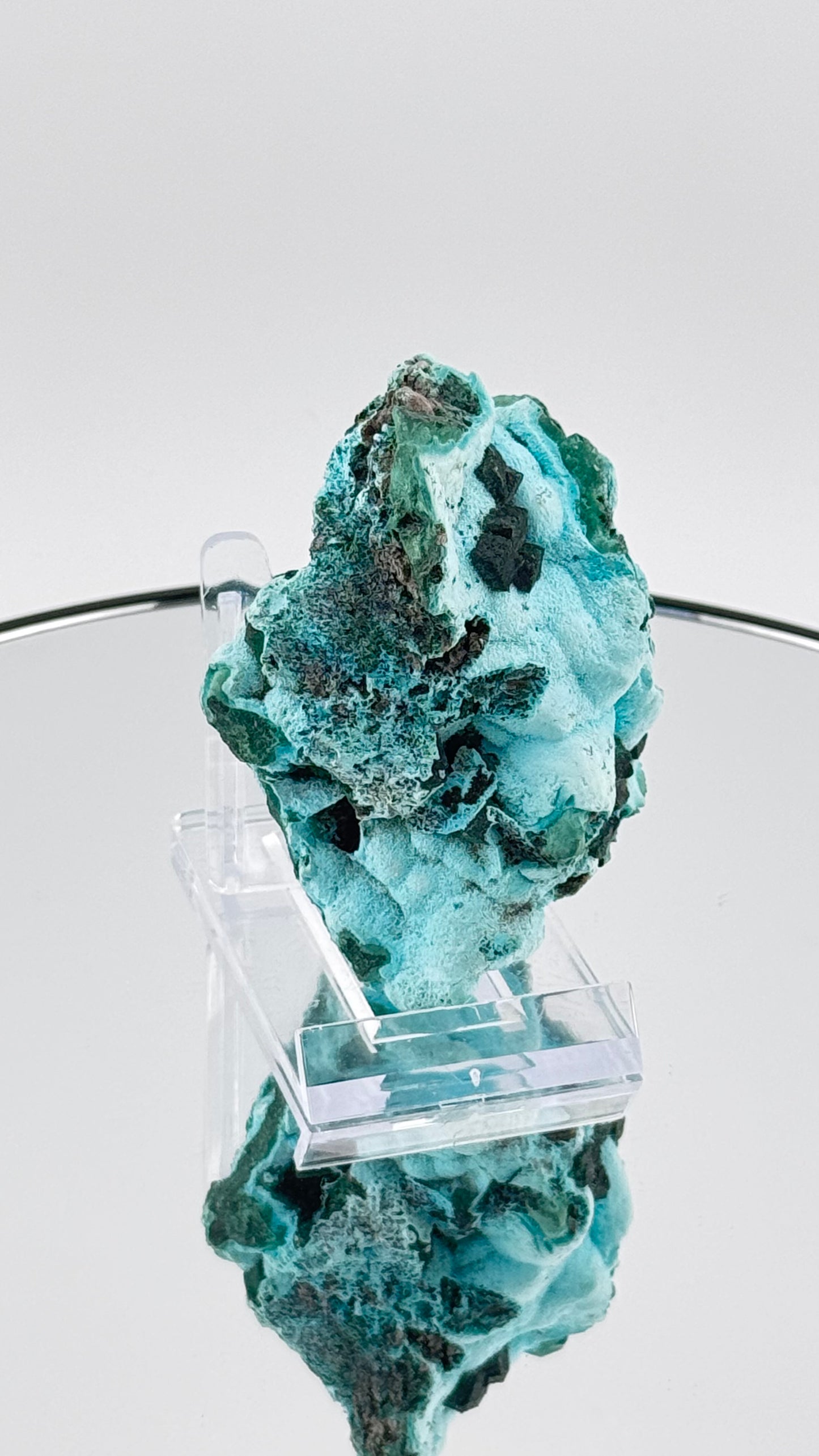 Chrysocolla with dioptase – Katanga region, Congo, 152g