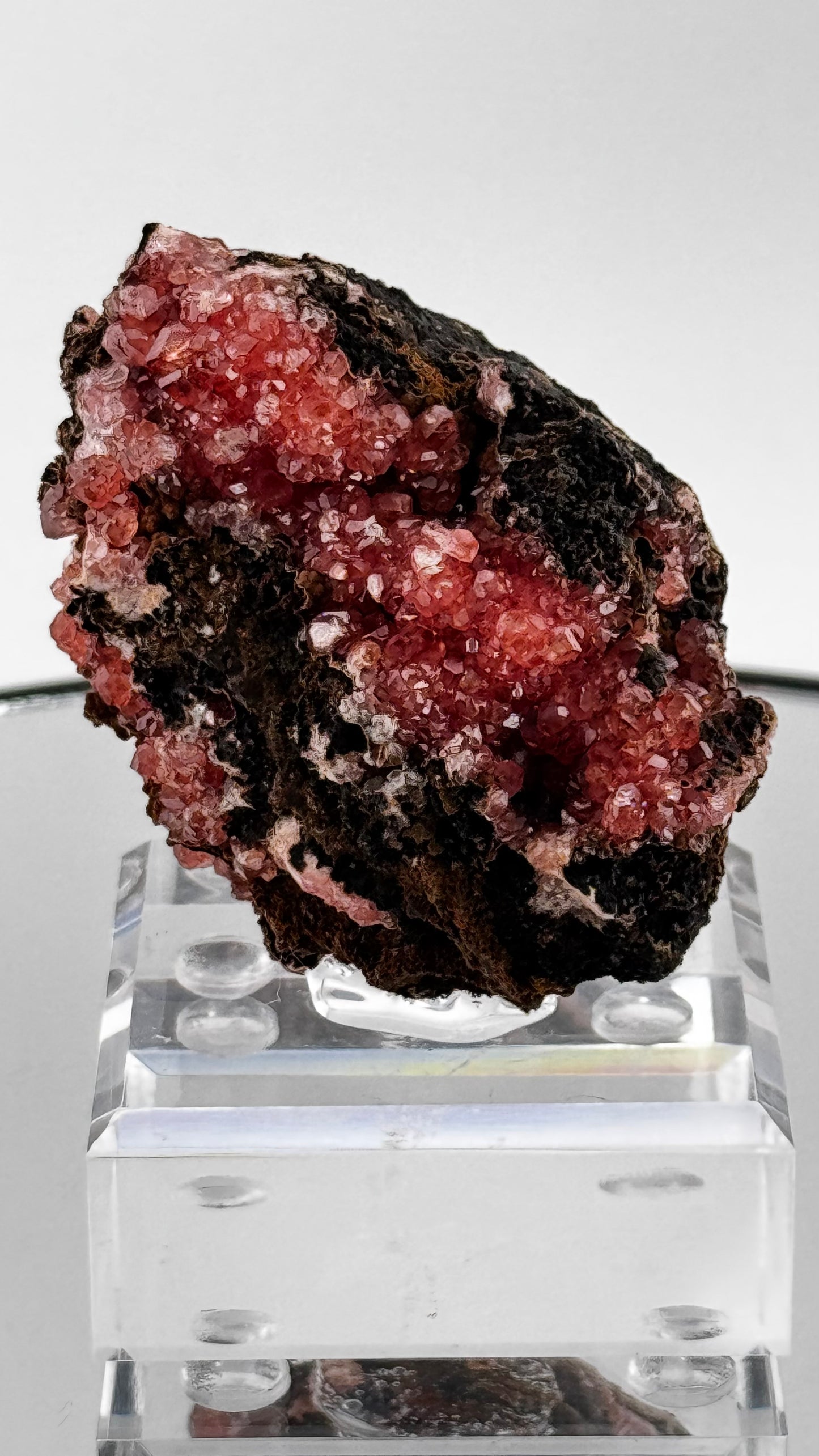 Rhodochrosit – Wessels Mine, Hotazel, Südafrika, 175g