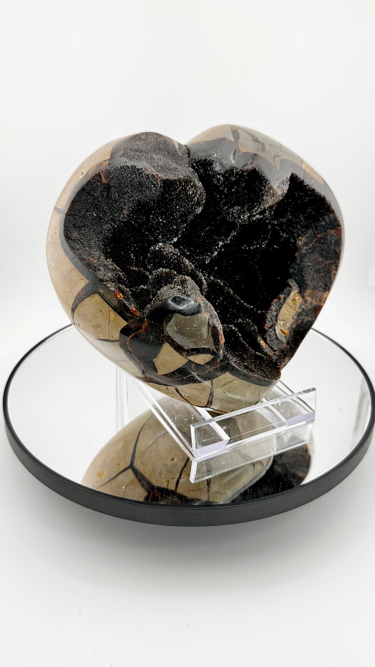 Septarian Herz "Drachenstein" – Madagaskar  17 × 16 cm, 2,7 kg