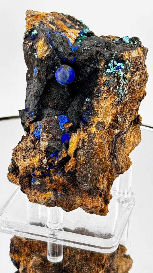 Azurit-Kristalle in Vugh, Phelps Mine Morenci Arizona
